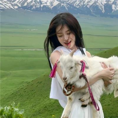 献给阿尔吉侬的花束